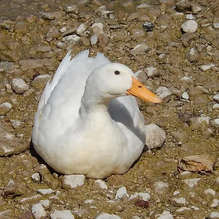 Haus Seehof Privat bolig