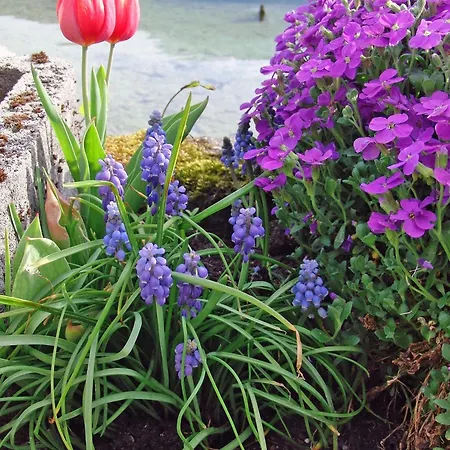 Privat bolig Haus Seehof