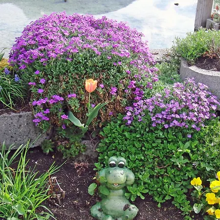 ホームステイ Haus Seehof *