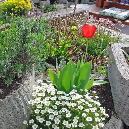 Haus Seehof *