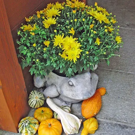 Privat bolig Haus Seehof *