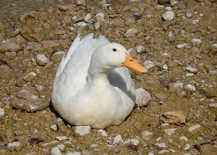 Haus Seehof Rum i privatbostad
