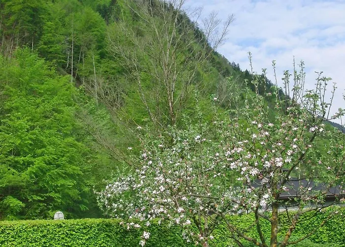 Haus Seehof Rum i privatbostad *