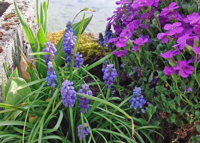 Rum i privatbostad Haus Seehof