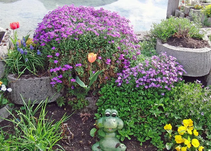 Rum i privatbostad Haus Seehof *